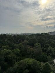 Normanton Park (D5), Apartment #582962391